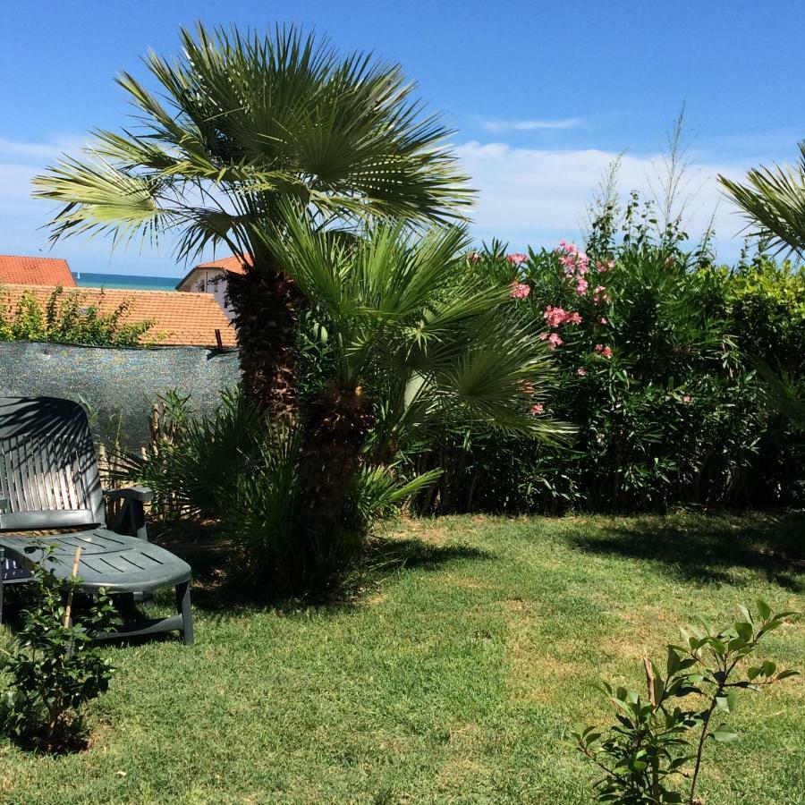 Casa "La Conchiglia" Bed & Breakfast Civitanova Marche Dış mekan fotoğraf