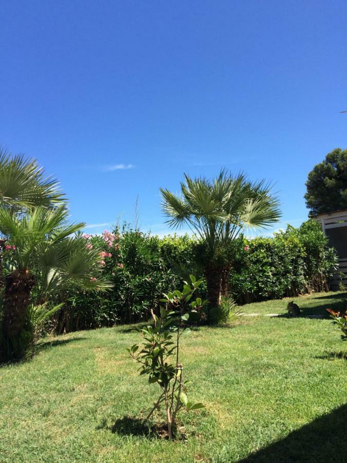 Casa "La Conchiglia" Bed & Breakfast Civitanova Marche Dış mekan fotoğraf