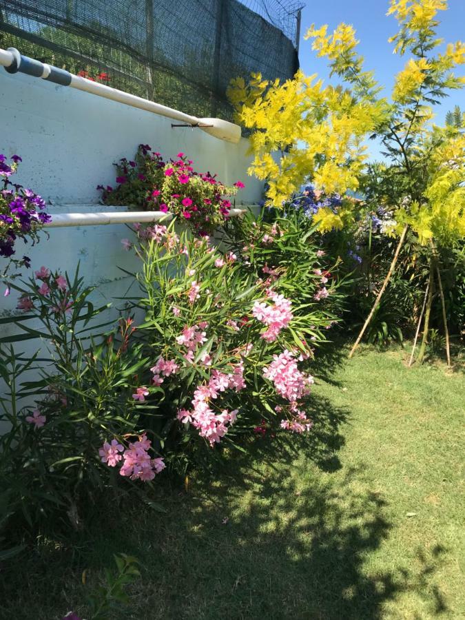 Casa "La Conchiglia" Bed & Breakfast Civitanova Marche Dış mekan fotoğraf
